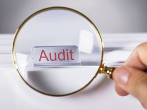 Fungsi Audit Pada Perusahaan